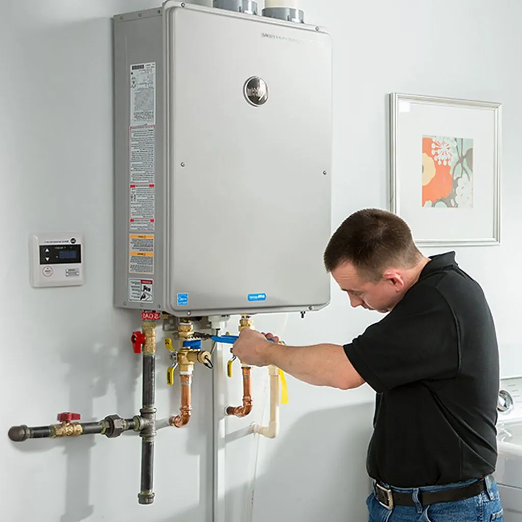 tankless water heater repair in Buckman, MN